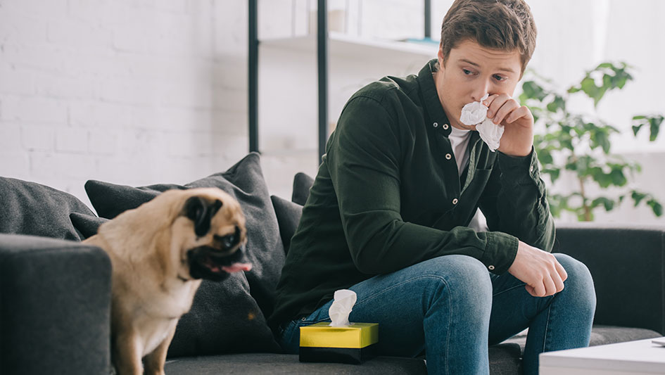 Installing an air purifier is one of the wisest ways to boost your home’s indoor air quality. Discover more about the three best products. 